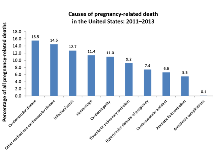 Causes of pregnancy-related death in the United States: 2011-2013